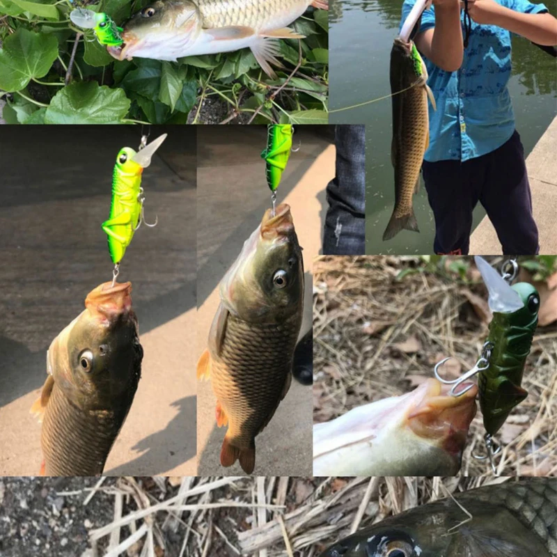 Cebo Artificial de plástico duro, pececillos de Pesca de señuelo que se hunden, saltamontes, insectos, Swimbait, aparejos de Pesca Isca de agua superior, 65mm, 8g - imagen 5