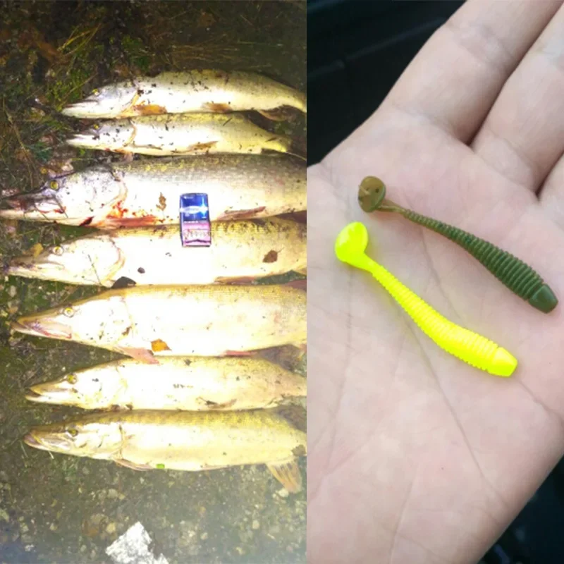 20 o 50 Uds señuelo de Pesca de gusano cebo suave de silicona Artificial 5cm 0,8g Isca Jig Wobblers señuelos blandos Shad carpa aparejos de lubina Pesca - imagen 5