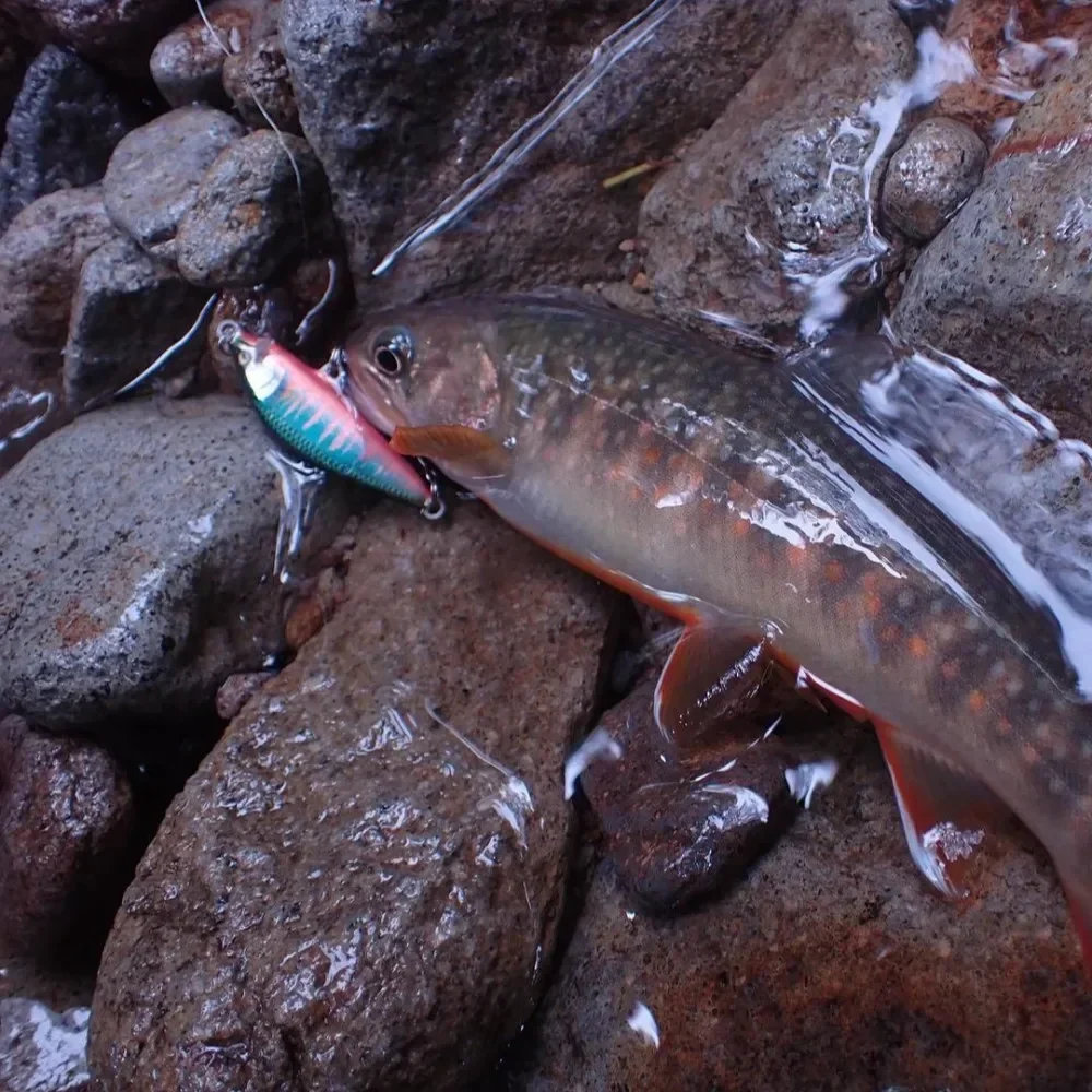 Cuenta regresiva Elite 70mm 10g Señuelos de pesca de pececillo que se hunden Jerkbaits Peche cebo Artificial Wobbler señuelo para pesca de lubina y trucha CDE75 - imagen 5