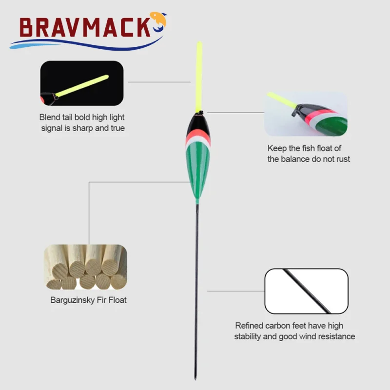 10Pcs Fishing Floats Set 1g-5g Long Tail Barguzinsky Fir Float Kit For Carp Bass Fishing Accessories Fishing Float - imagen 3