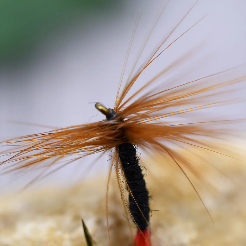 MNFT 10 piezas 12 #   Barba marrón puede mosca cola roja pesca húmeda mosca trucha cebo moscas - imagen 5