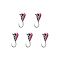 5PCS Hook