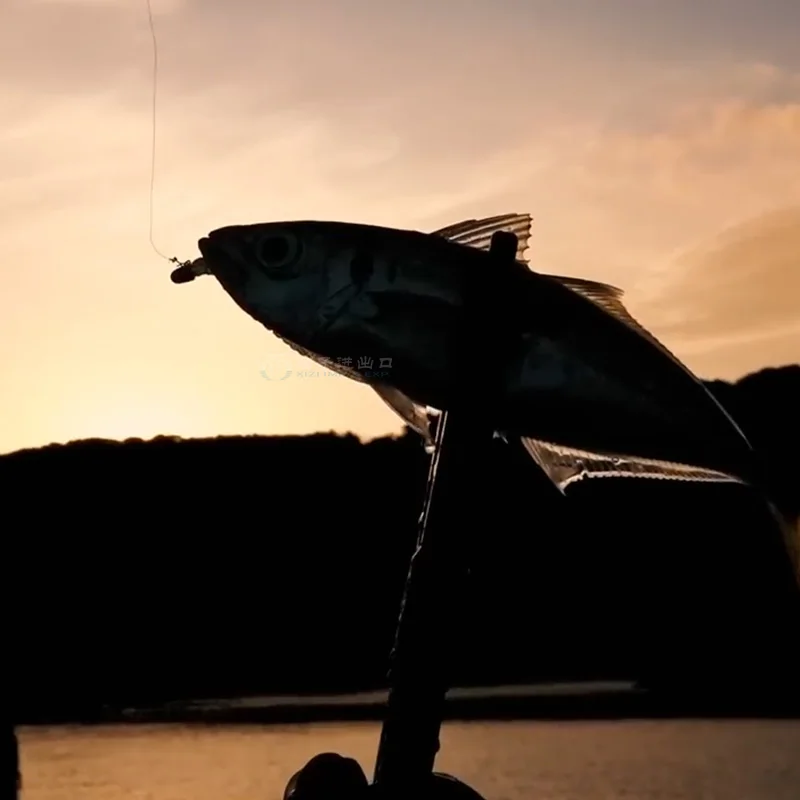 DUEL The ONE – Línea monofilamento flotante para Ajing y pesca ligera - imagen 3