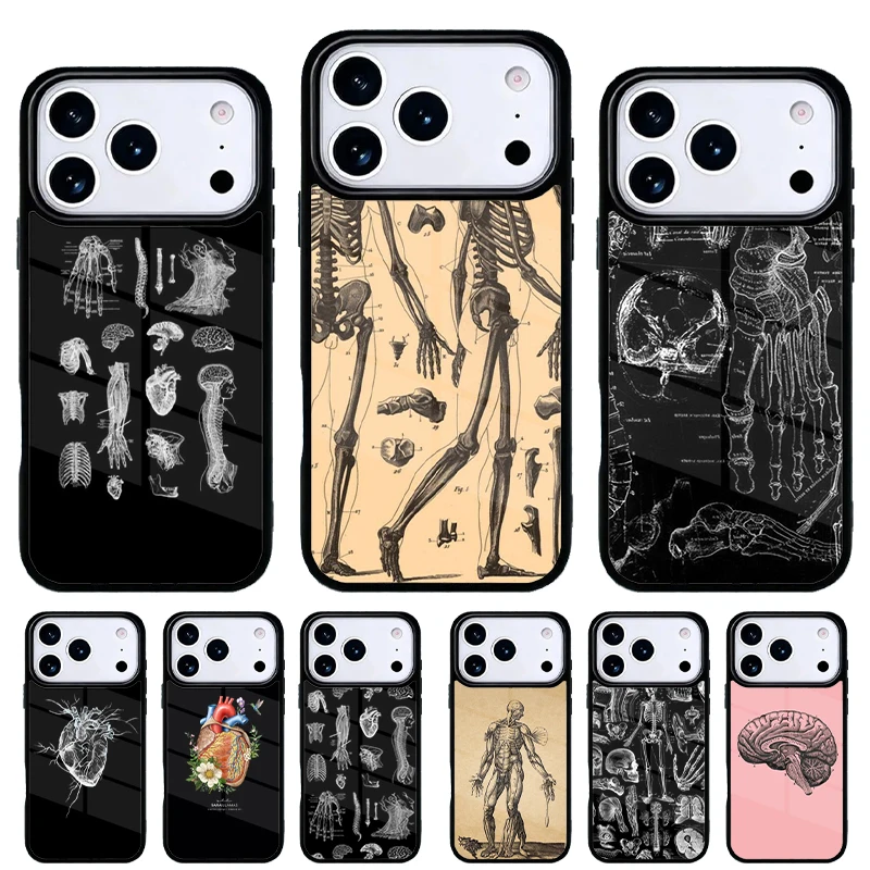 Funda iPhone diseño anatomía humana compatible 13–17 Pro Max