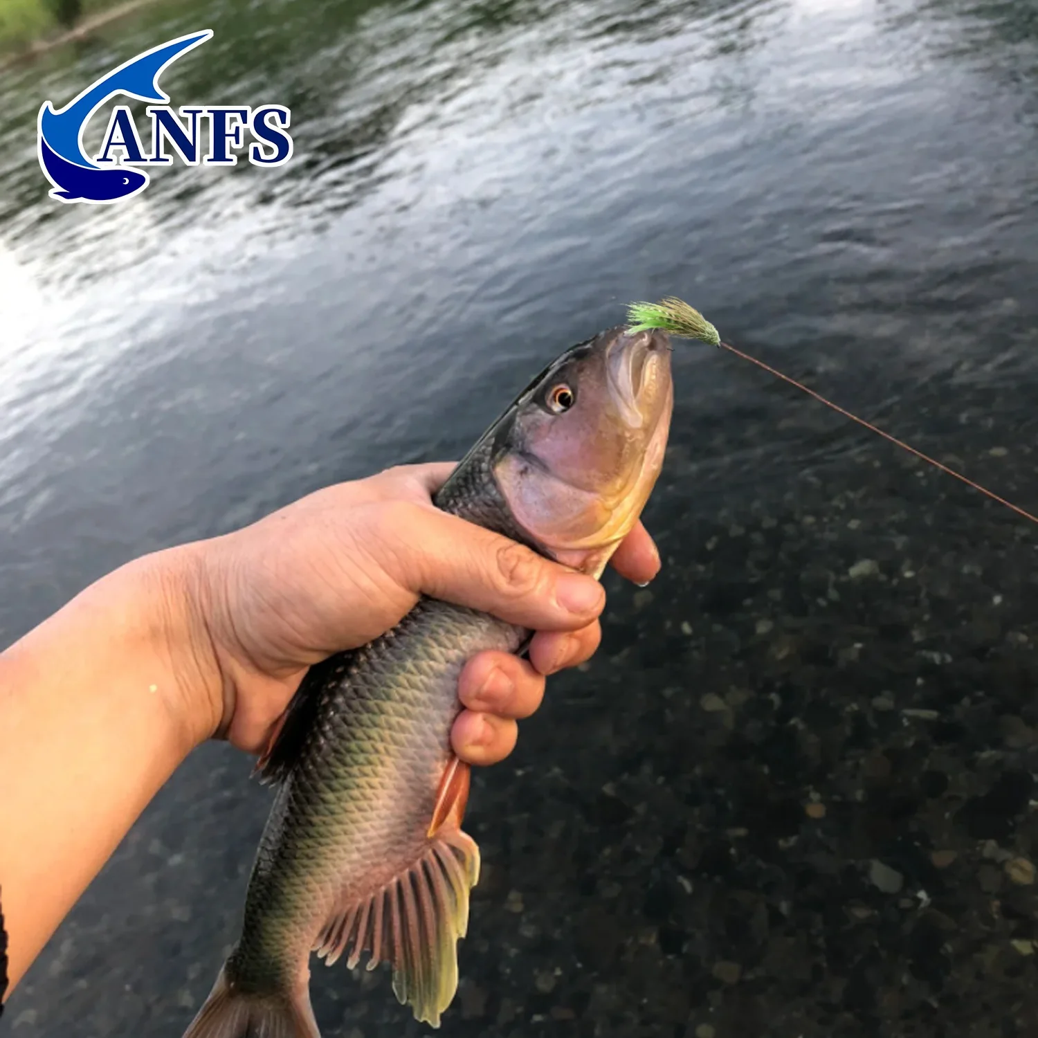 ANFS 5 señuelos de pesca con mosca de saltamontes, cebos artificiales para insectos para trucha, perca y azulegill, moscas húmedas, regalo de pesca para pescador - imagen 5