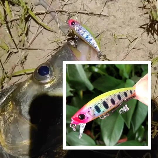Tsurinoya 8 Uds señuelo de pesca colorido 5g/4,6 cm pececillo hundido ojos 3D Trolling Buzz cebo señuelo Crankbait aparejos de pesca de lubina - imagen 2