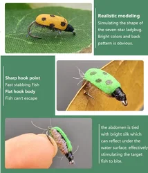 Ninfa Ladybird para pesca con mosca – Lubina trucha salmón