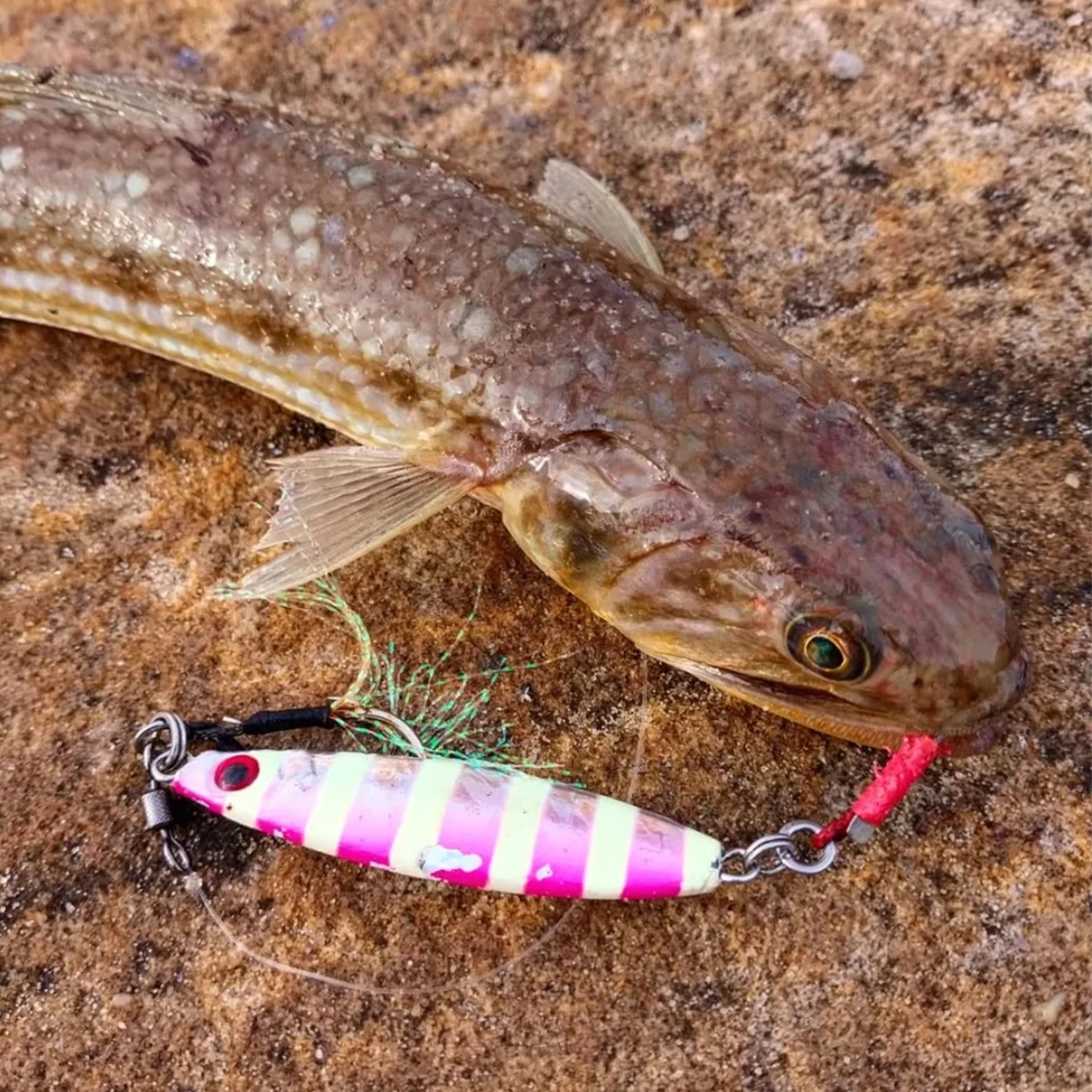 Señuelo de pesca Jigging de Metal, 30G40G50G60G Jigpara, cebos artificiales luminosos, plantilla de velocidad, equipo de pesca de caballa de agua salada - imagen 2