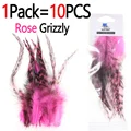 1Pack Rose Grizzly