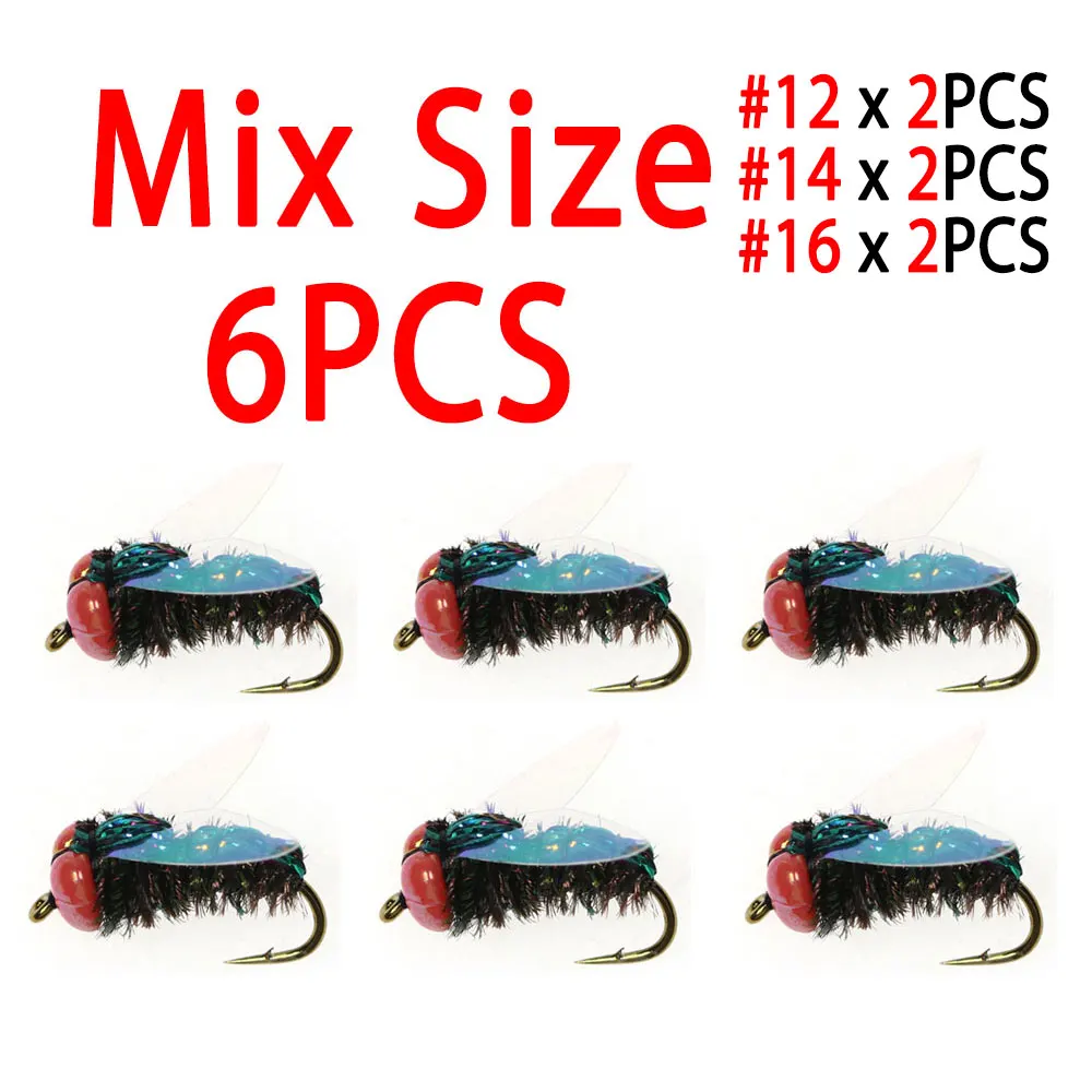 6pcs Mix Size