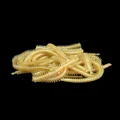 20pcs Color 4