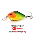 Citrus Tiger 211