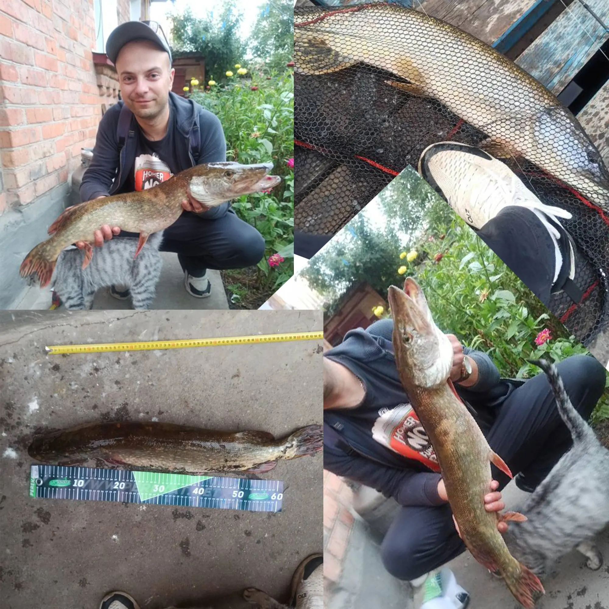 Barra de pesca BIUTIFU BIGFISH Carp Surfcasting Rock 3,0/3,6/3,9/4,2/4,5 m T800Carbon 3,5 LB Shore Casting 40-200g - imagen 3