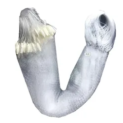 Red de pesca monofilamento nylon profesional