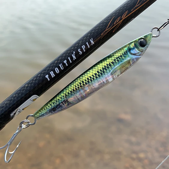 Japón TOKAI recubrimiento láser 3D ultra realista Luya tiro lejano placa de hierro lentejuelas súper señuelo capa de natación completa cebo falso 15g - imagen 3