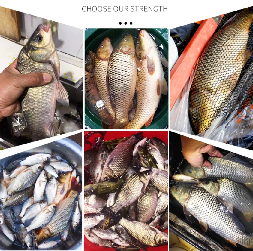 Señuelo de pesca en polvo de prueba, cebo vivo de sabor Real rápido para carpa, carpa, besugo, olor, cebos, alimentador, accesorios de fragancia, 60g - imagen 5