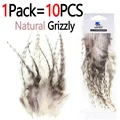 1Pack Natural Grizly