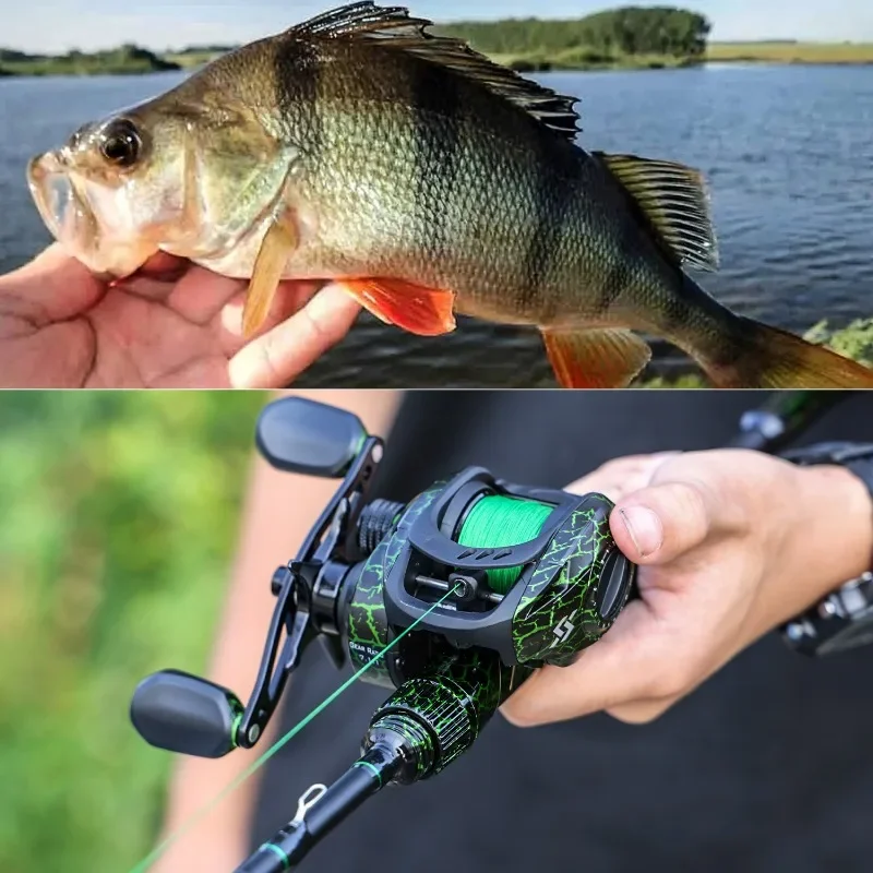 Carrusel baitcasting Sougayiang 7.1:1 con freno magnético 9+1 rodamientos - imagen 5