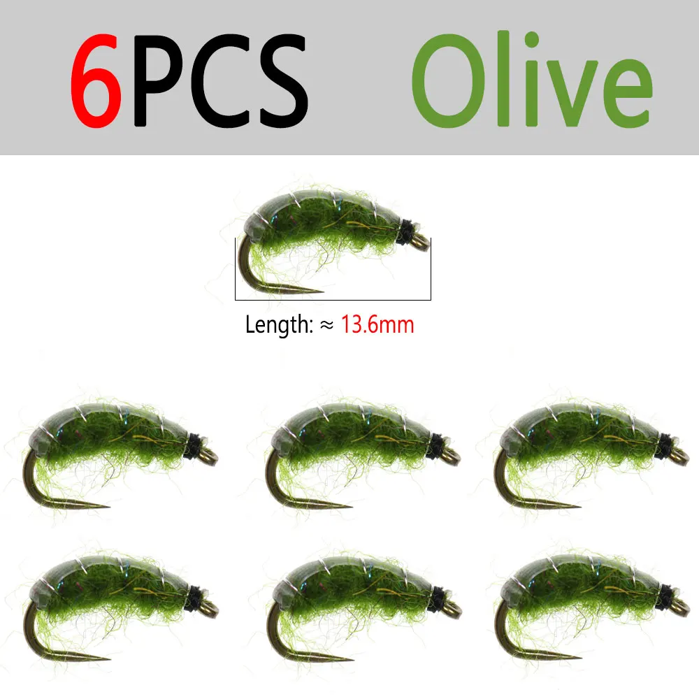6pcs Olive