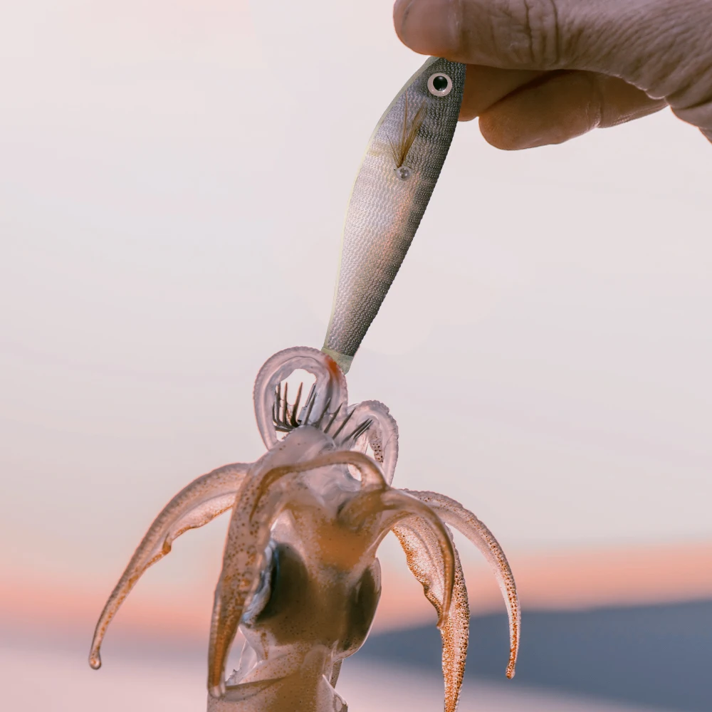 10 unids/set luminoso Horizontal calamar Jig madera camarones calamar gancho afilado señuelos pulpo sepia camarones cebos de agua salada - imagen 4