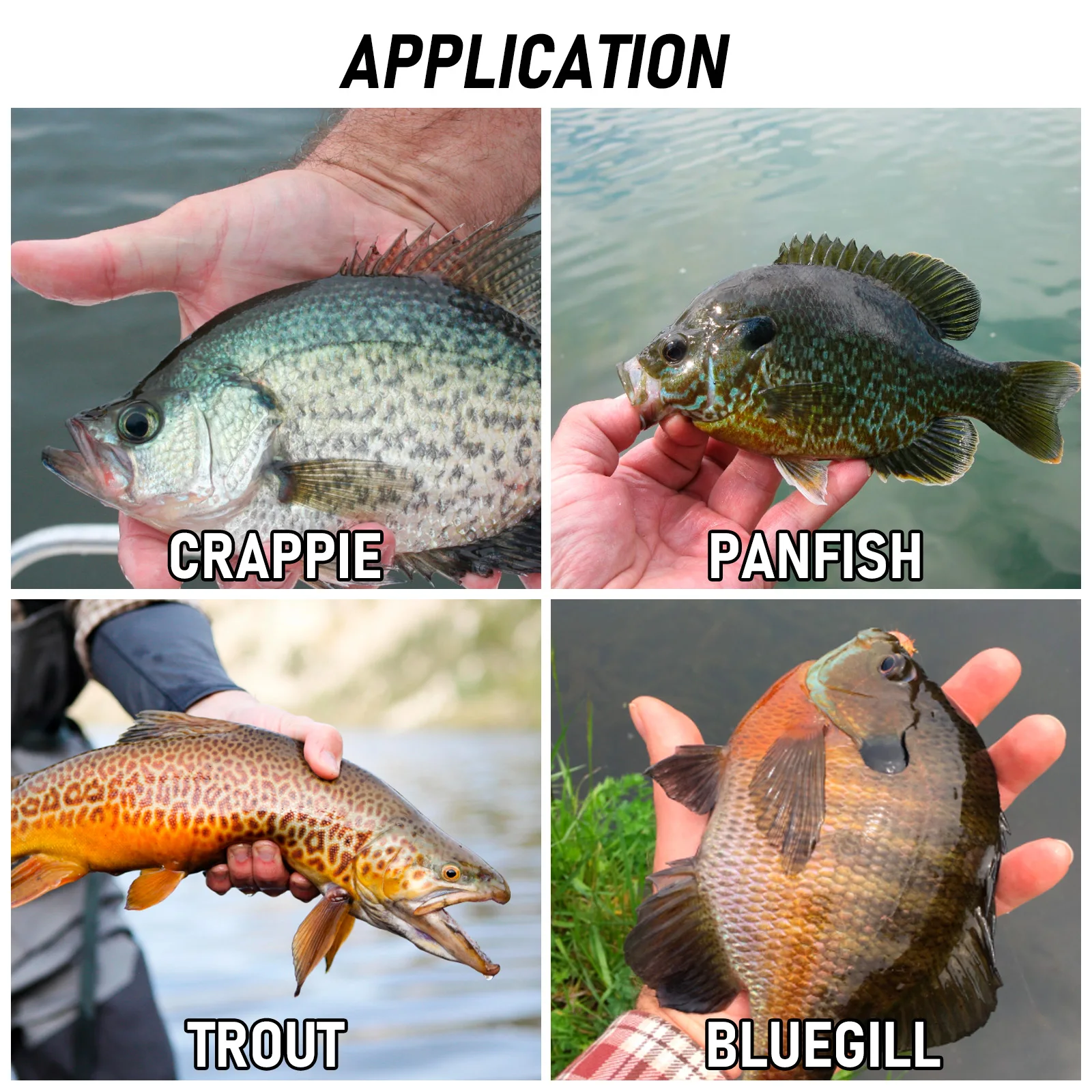 Kit de señuelos Crappie de 55 piezas, anzuelo de cabeza de plantilla, señuelo de plástico suave, cebo de gusano Grub, lubina, pez de mar, plantilla de pesca con caja de aparejos, trucha - imagen 4