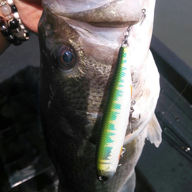 Japón Evergreen señuelo lápiz de agua palabra perro 115Jastine95 cebo falso silencioso de largo alcance - imagen 4