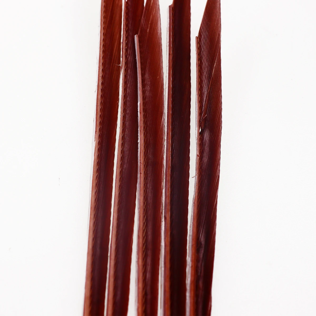 Wifreo-plumas de Biots salvajes de pavo para envolver el cuerpo, materiales de atado de moscas emergentes, Spinner, Nymph, 5 unids/lote por bolsa - imagen 5