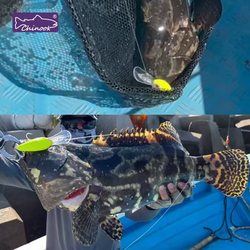 Crankbait Chinook Rattlebait – Señuelo de superficie para lubina - imagen 5