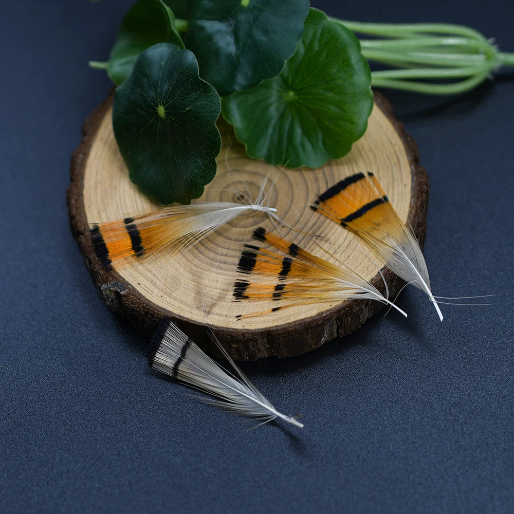 MNFT 50 Uds. Cabeza de faisán dorada Natural Crest & rump plumas para el cuerpo surtido alas y materiales para atar la cola pesca con mosca - imagen 5