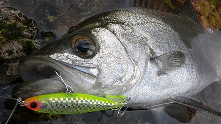 Maria Fla-Pens85-señuelo Lua de lápiz sumergido, importado de Japón, 15g - imagen 4