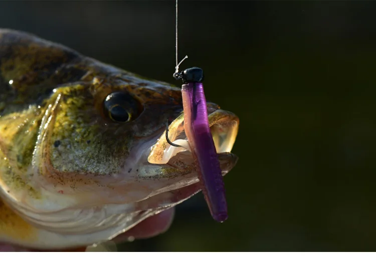 Zman-señuelo pequeño importado de EE. UU., insecto Micro TRD175, insecto flotante Ned, grupo de pesca, suave - imagen 4