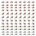 96pcs