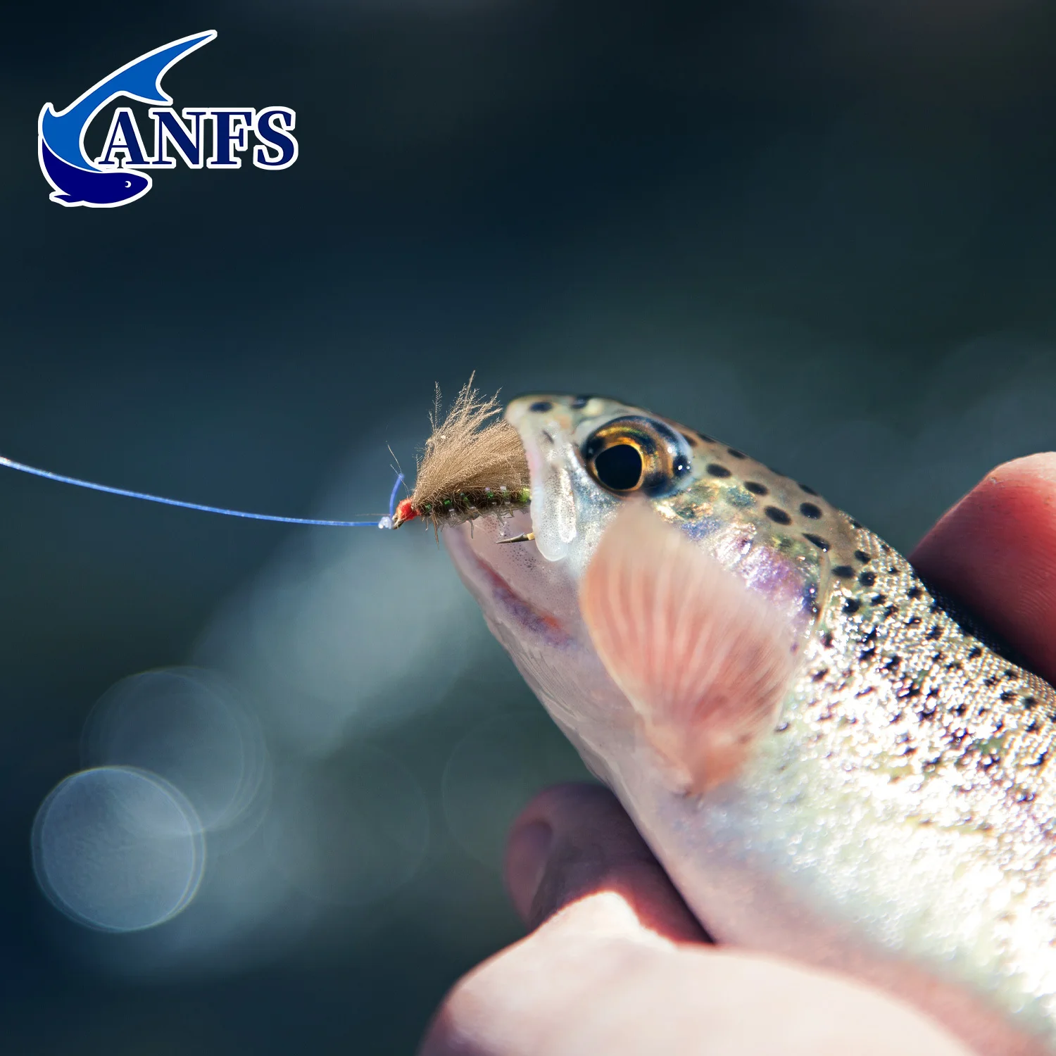 ANFS Moscas CDC Sedge para Pesca a Mosca – Egg Laying Rusty - imagen 5