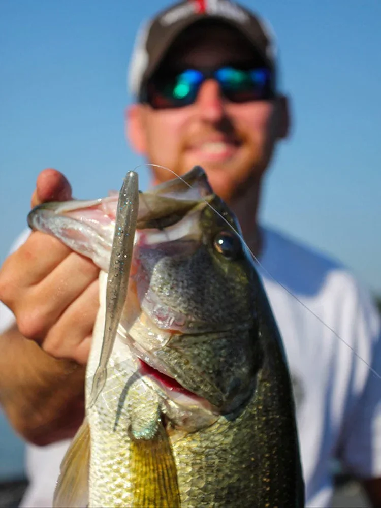 American ZOOM-Software clásico para detener Super Fluke Luya, cebo blando, Forktail, Jerkbait suave - imagen 5