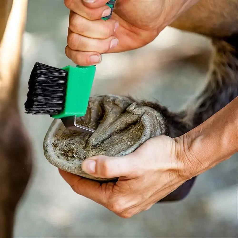 1 Uds. Cepillo para pezuñas de caballo con cerdas de nailon, agarre cómodo, herramienta de limpieza de pezuñas de Metal, herramienta de aseo antideslizante de Color aleatorio