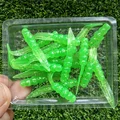 GD26 20PCS  03
