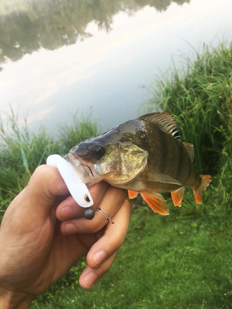 ESFISHING-señuelo suave de cola en T, alimentador Isca Artificial Crankbait Wobbler para pesca de lubina, sábalo Enjoy Shad 8 piezas 50mm 3g - imagen 4