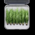 7pcs Olive