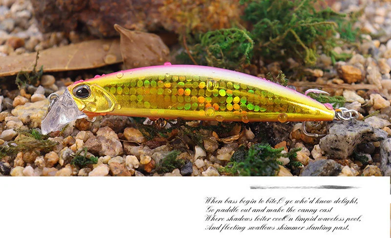 Experimente la emoción de la pesca con nuestro vibrante cebo llamativo diseñado para cautivar a los peces y mejorar su captura