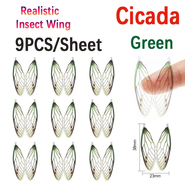 1pc Cicida-G
