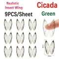 1pc Cicida-G
