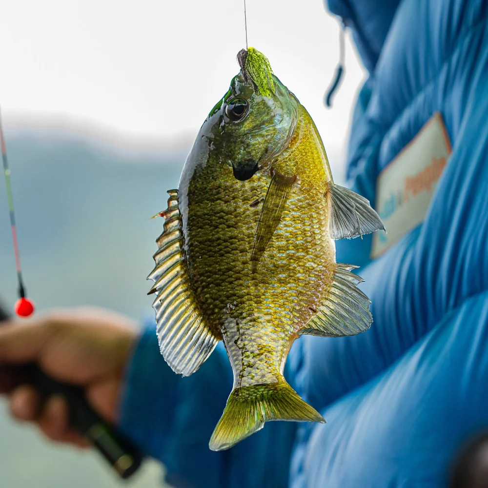 Goture-faldas de silicona de 50 hebras, señuelos de plantilla de goma, accesorios de pesca de calamar, DIY, spinnerbatis, buzzbaits, 30 unidades por lote - imagen 5