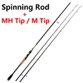 Spinning Rod