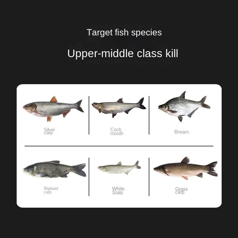 LINNHUE sublínea doble gancho conjunto completo más línea larga nuevo anzuelo de pesca Guandong Yi Shi Nifu - imagen 4