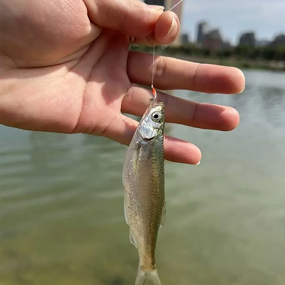 50 Uds. Anzuelo de pesca de carpa curvado con púas negras de acero al carbono de alto fuerte, anzuelo circular con mosca, ninfas, anzuelo con mosca de huevo húmedo - imagen 5