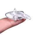 10pcs