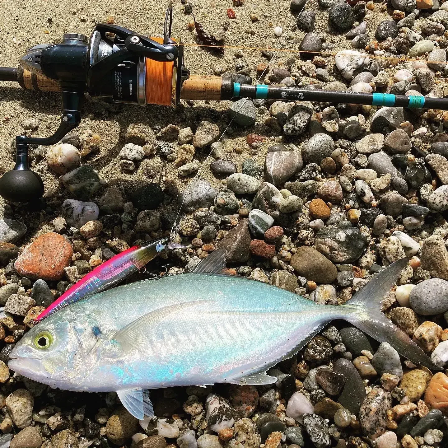 Japón asesino poco profundo 120mm 18,5g señuelo de pesca de pececillo de fundición hoja Flash peso de tungsteno lubina Wobblers Jeribaits flotantes - imagen 5