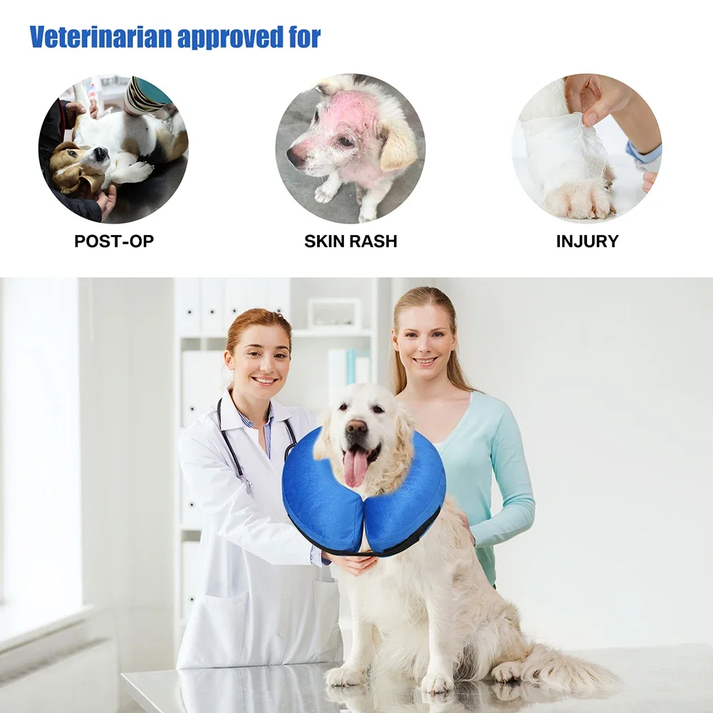 Collar Isabelino para Perros – Recuperación Post-Cirugía - imagen 3