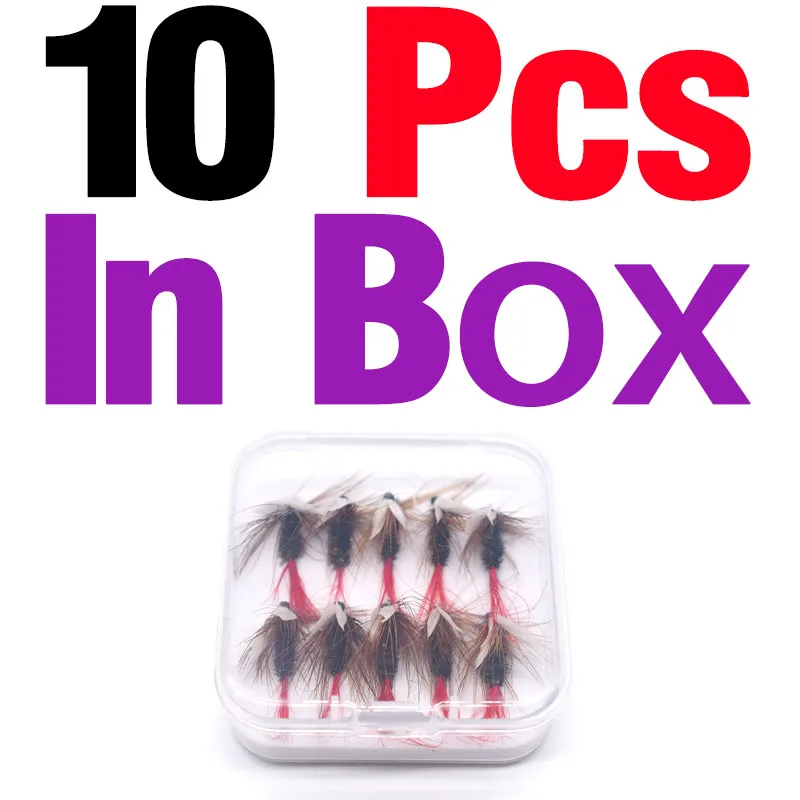 10Pcs In Box