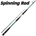 Spinning Rod